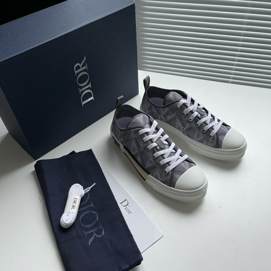 CHRISTIAN DIOR B23 League Low-Top Sneaker