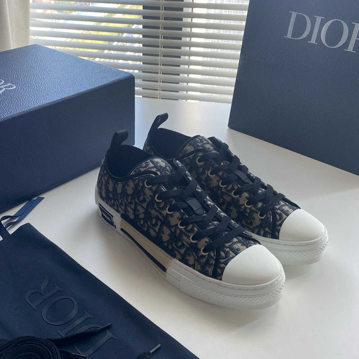 CHRISTIAN DIOR B23 League Low-Top Sneaker