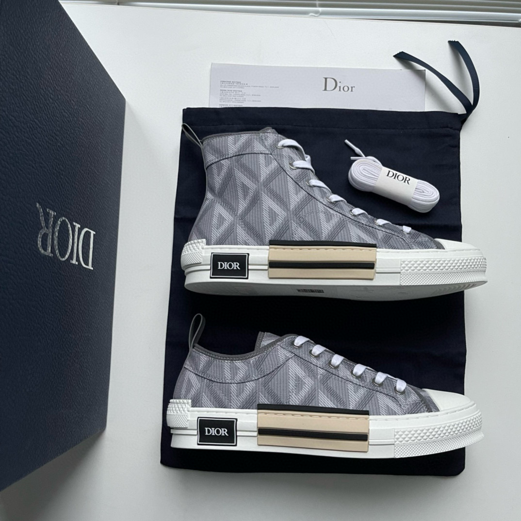 CHRISTIAN DIOR B23 League High-Top Sneaker