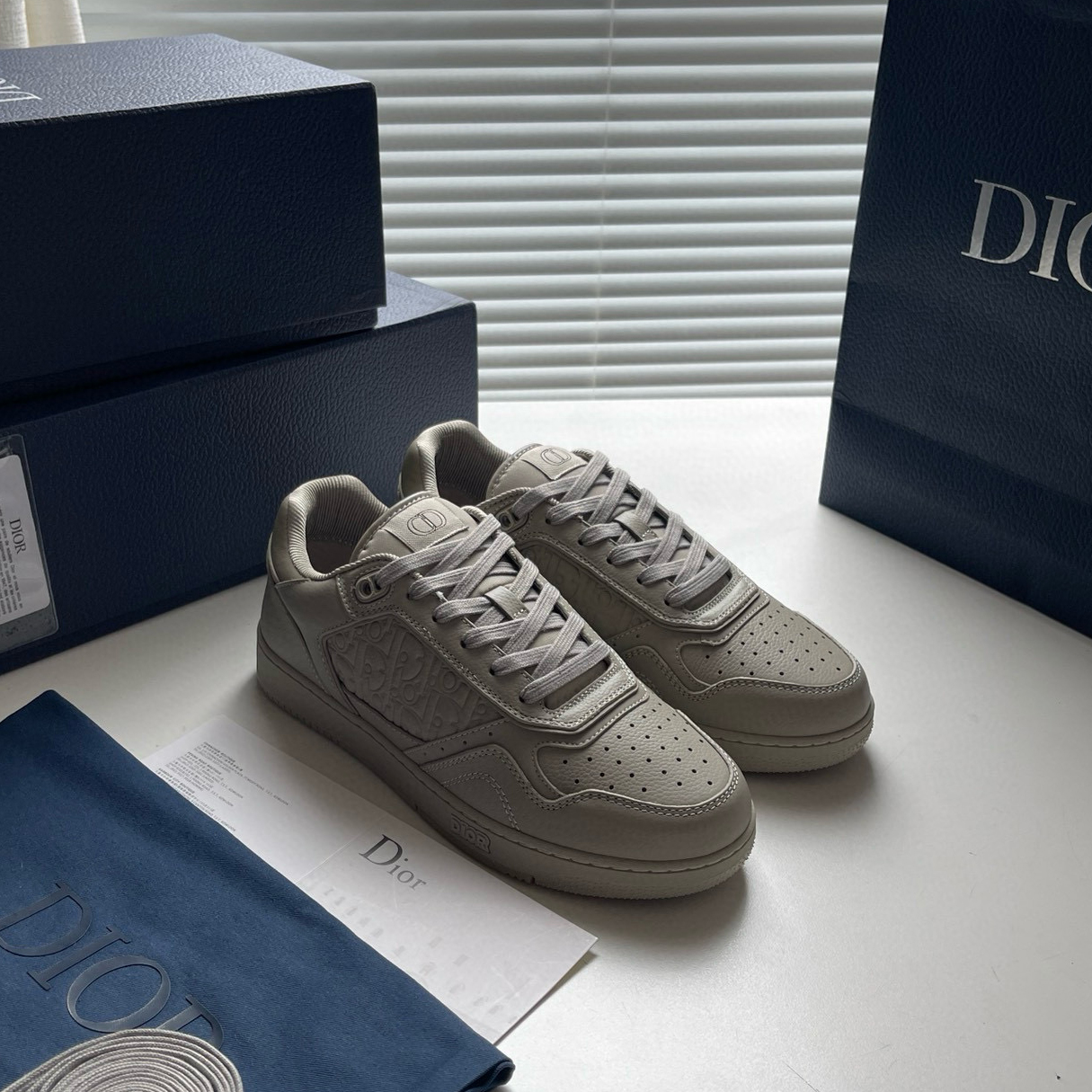 CHRISTIAN DIOR B27 Sneaker