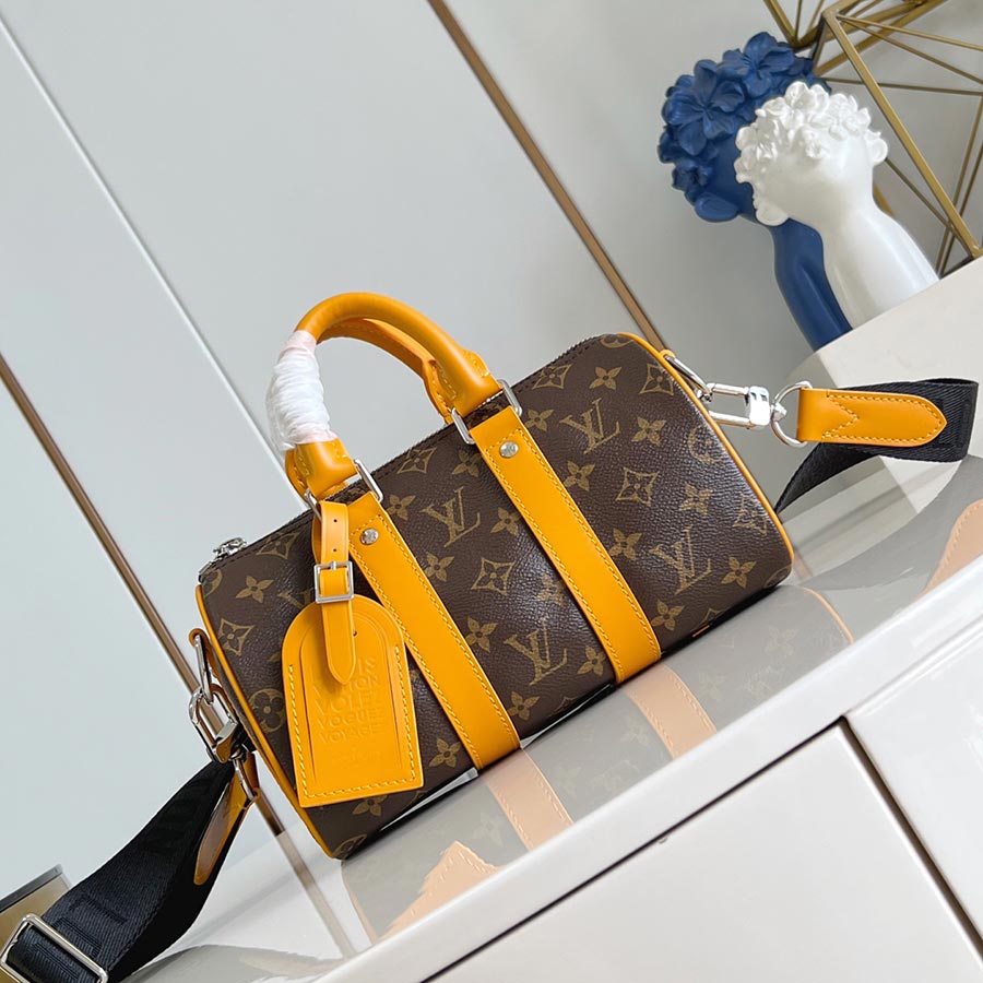 Louis Vuitton  Keepall Bandoulière 25 LV Colormania