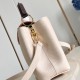 Louis Vuitton Capucines Taurillon Louis Vuitton Capucines Taurillon