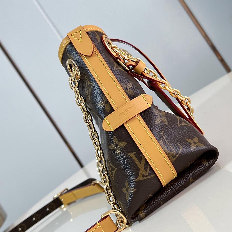 Louis Vuitton  CarryAll BB  Monogram