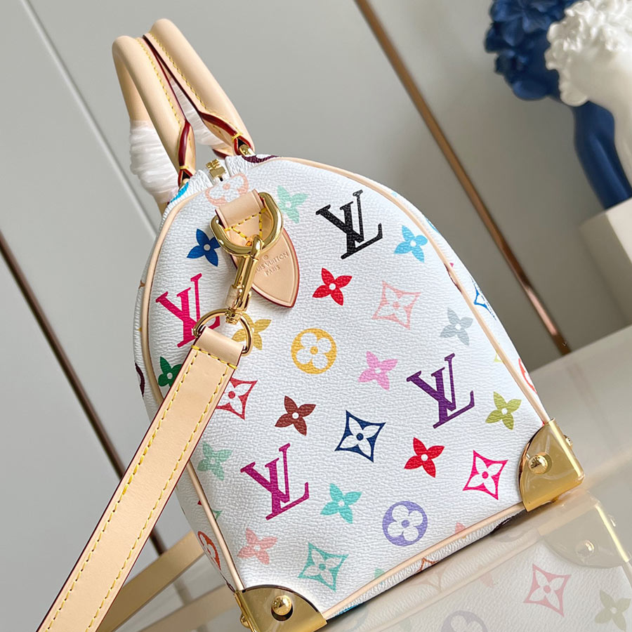 Louis Vuitton  Speedy Bandoulière 25 Monogram