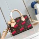 Louis Vuitton Speedy Bandoulière Monogram