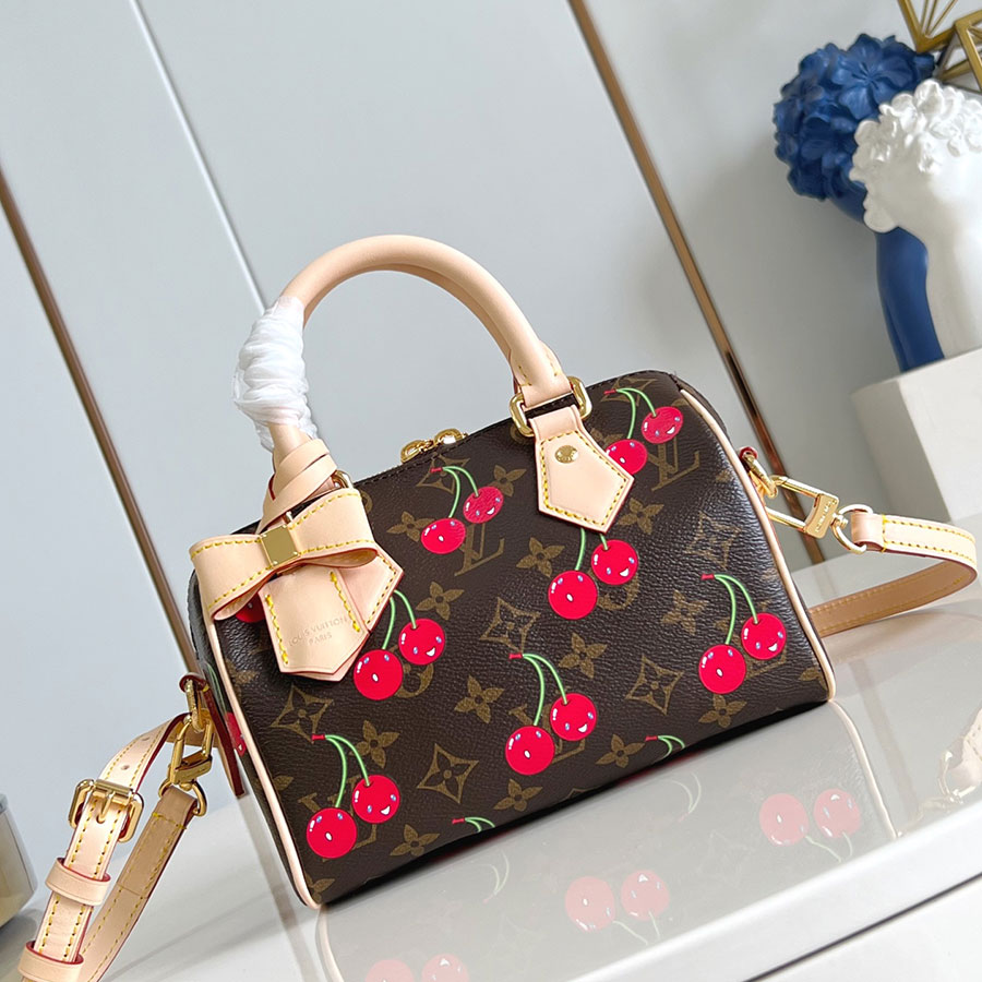Louis Vuitton Speedy Bandoulière Monogram