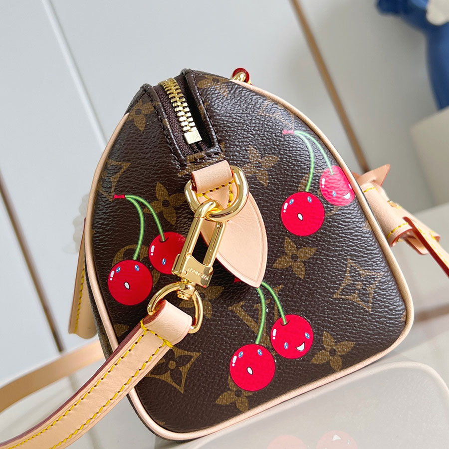 Louis Vuitton Speedy Bandoulière Monogram