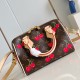 Louis Vuitton Speedy Bandoulière Monogram