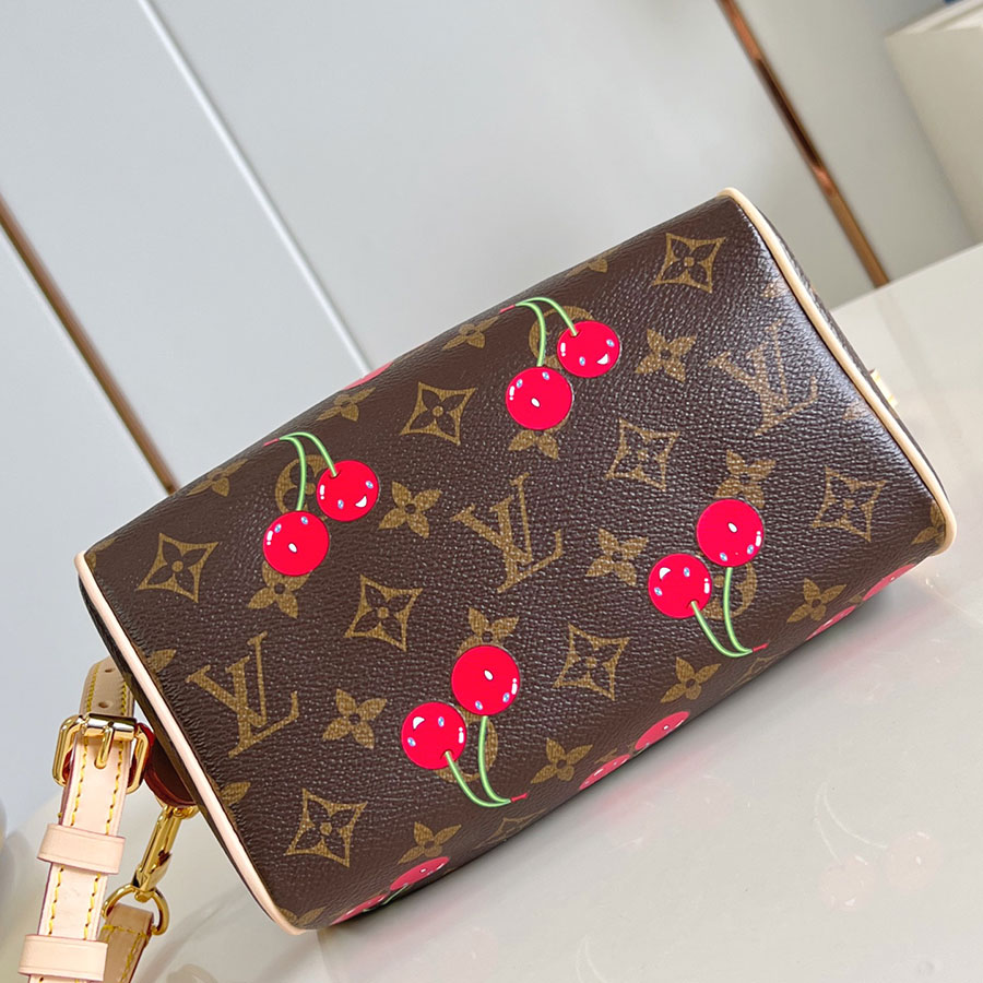 Louis Vuitton Speedy Bandoulière Monogram