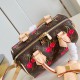 Louis Vuitton Speedy Bandoulière Monogram