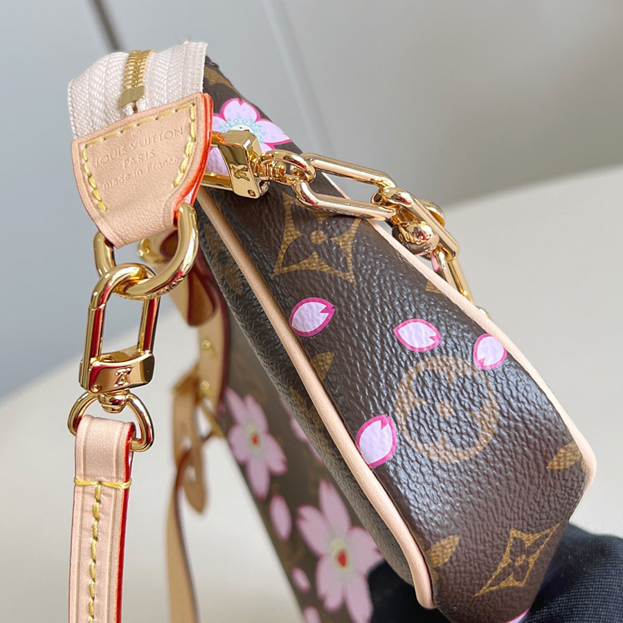 Louis Vuitton Pochette Accessoires Monogram Louis Vuitton Pochette Accessoires Monogram