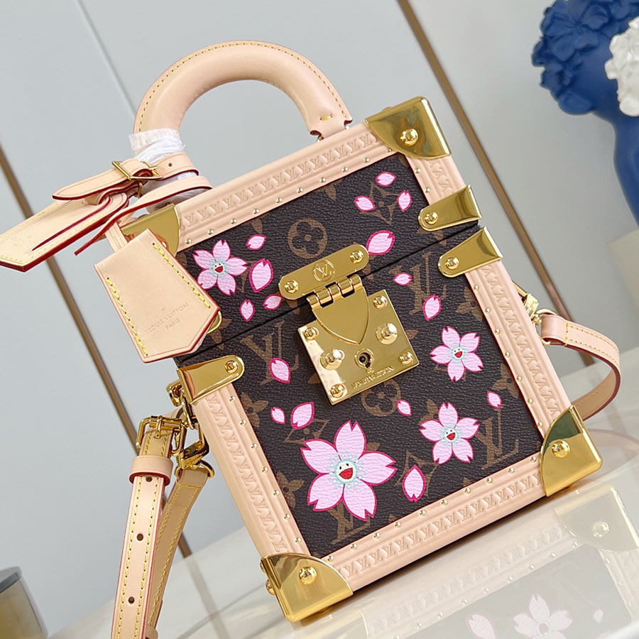 LOUIS VUITTON Camera Box