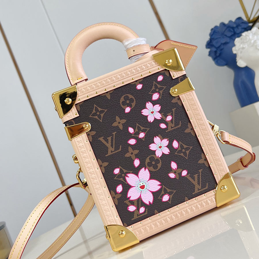 LOUIS VUITTON Camera Box