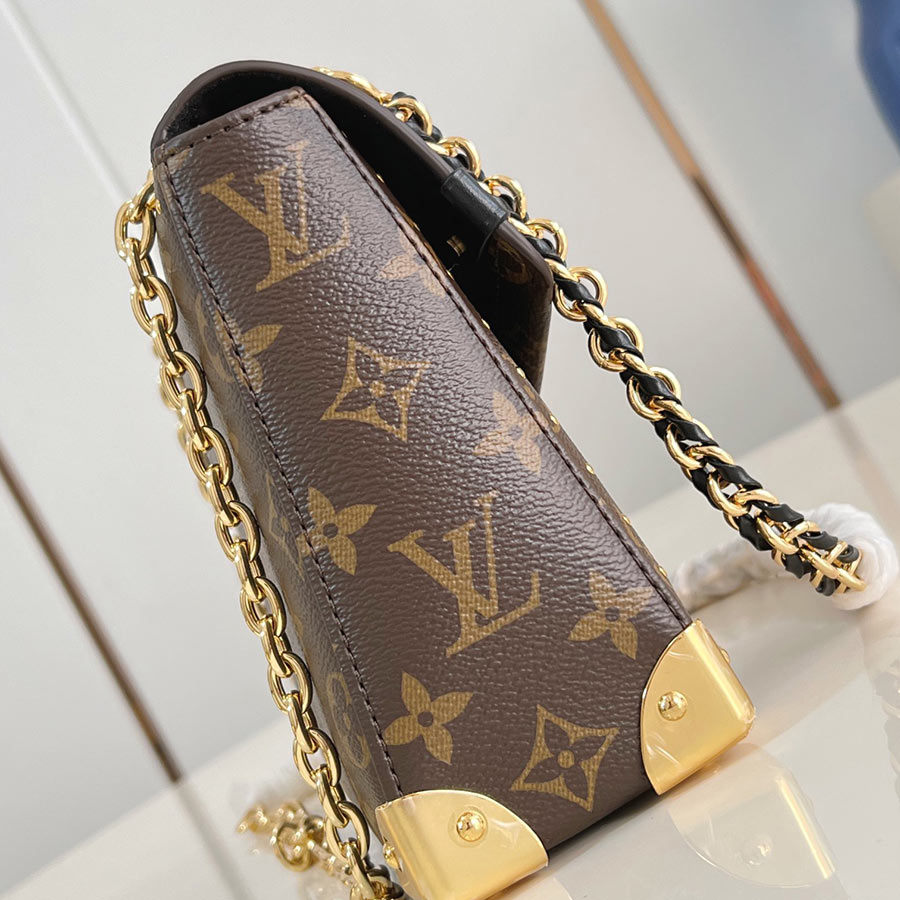 Louis Vuitton  Trunkie   Monogram