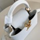 Louis Vuitton Capucines Taurillon Louis Vuitton Capucines Taurillon