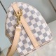 Louis Vuitton Speedy Louis Vuitton Speedy