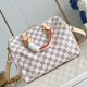 Louis Vuitton Speedy Louis Vuitton Speedy