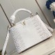 Louis Vuitton Capucines BB Louis Vuitton Capucines BB