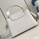 Louis Vuitton  Capucines Trilogy