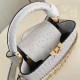 Louis Vuitton  Capucines Trilogy