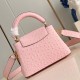 Louis Vuitton  Capucines mini Trilogy