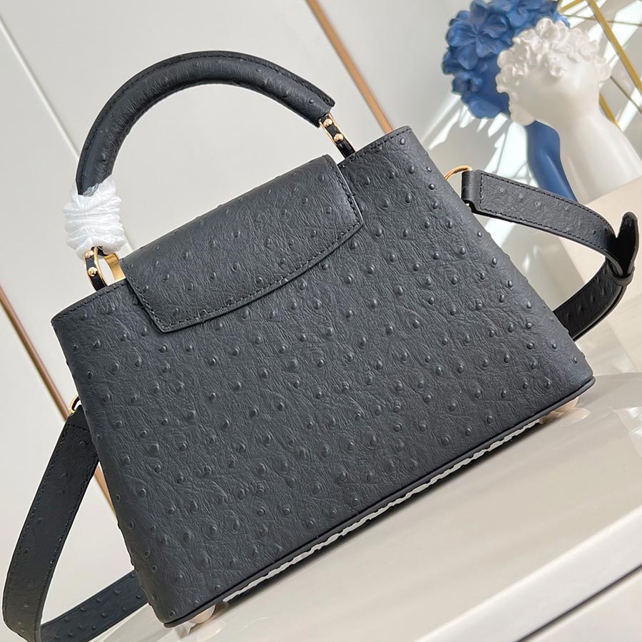 Louis Vuitton  Capucines Trilogy