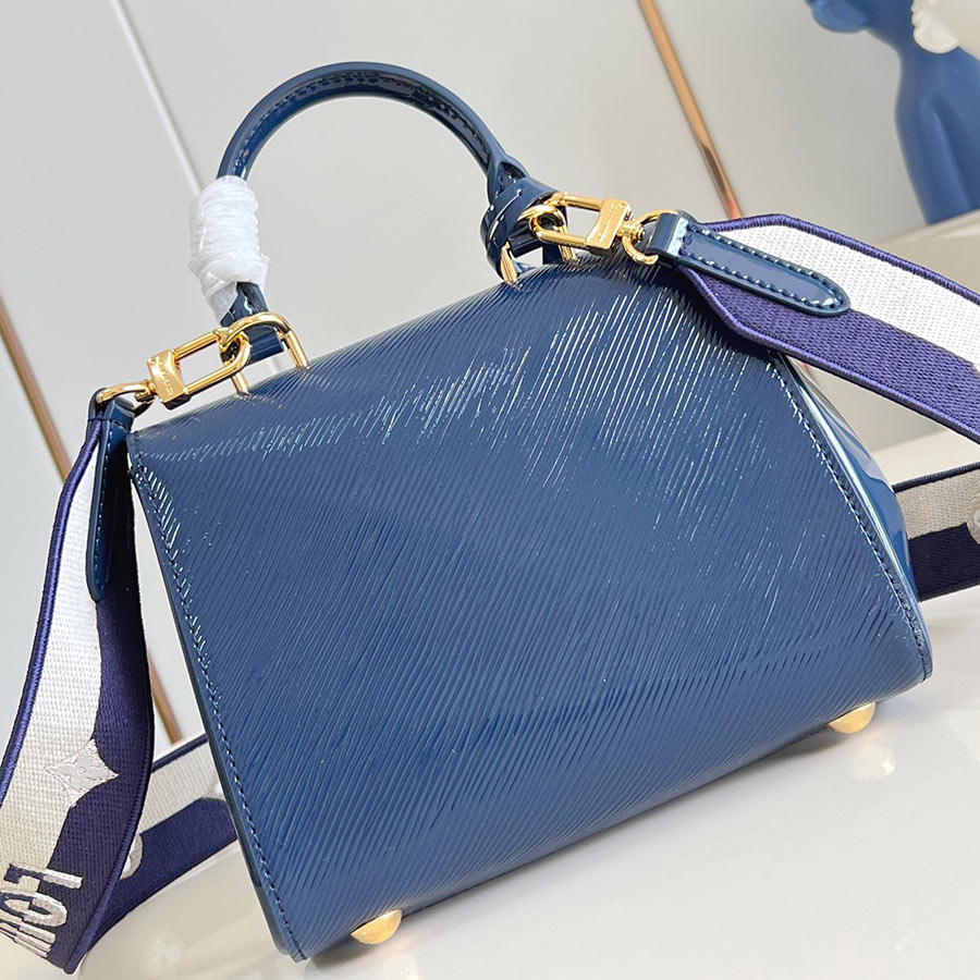 Louis Vuitton Cluny Epi