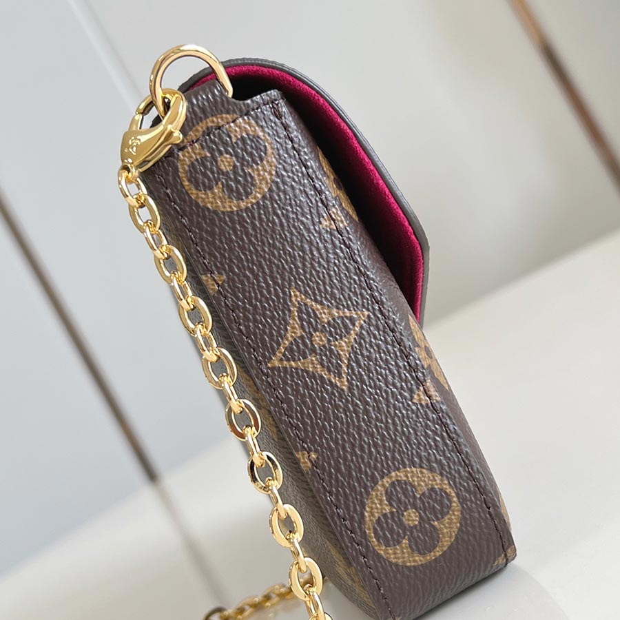 Louis Vuitton  Pochette Félicie   Monogram