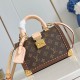 Louis Vuitton Iconic Speedy