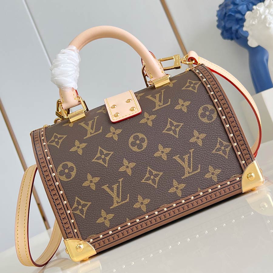 Louis Vuitton Iconic Speedy