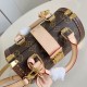 Louis Vuitton Iconic Speedy