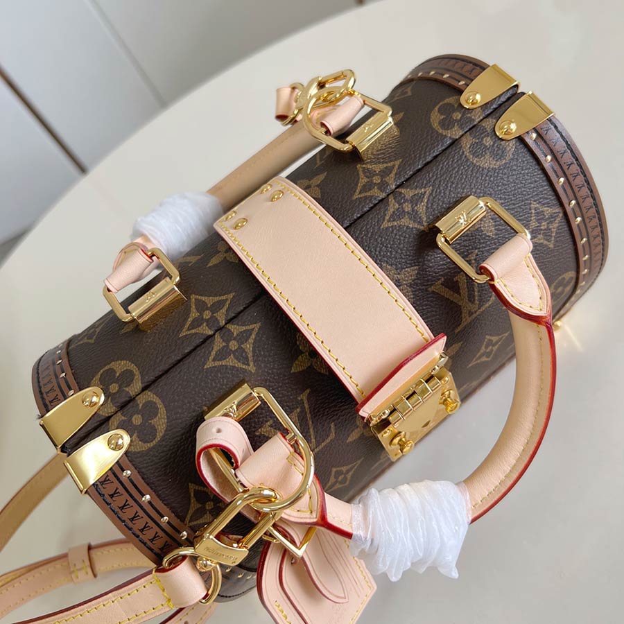 Louis Vuitton Iconic Speedy