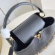 Louis Vuitton Capucines Souple