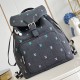 Louis Vuitton Montsouris  LV Blason