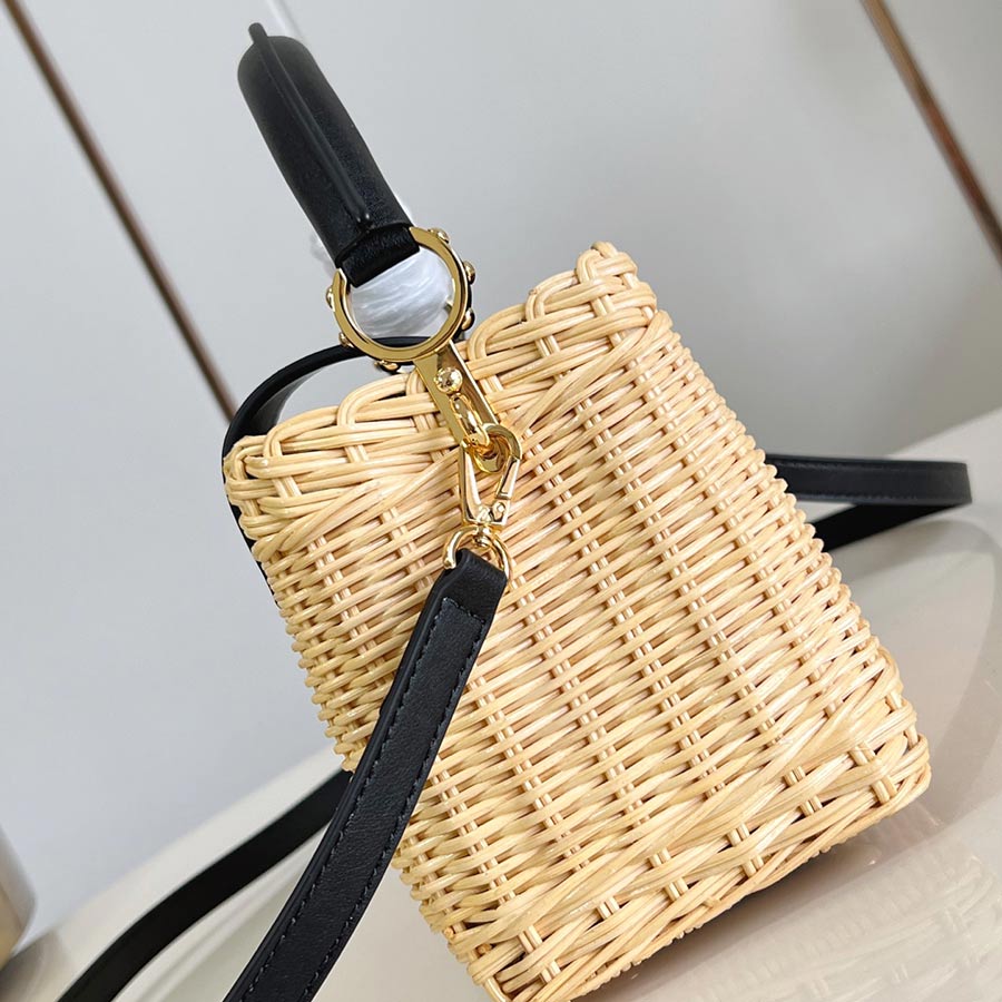 Louis Vuitton Capucines Picnic