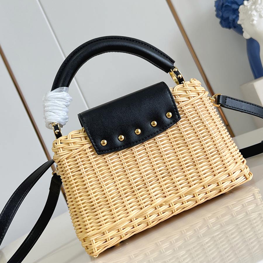 Louis Vuitton Capucines Picnic