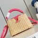 Louis Vuitton Capucines Picnic