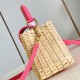Louis Vuitton Capucines Picnic