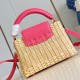 Louis Vuitton Capucines Picnic