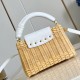Louis Vuitton Capucines Picnic