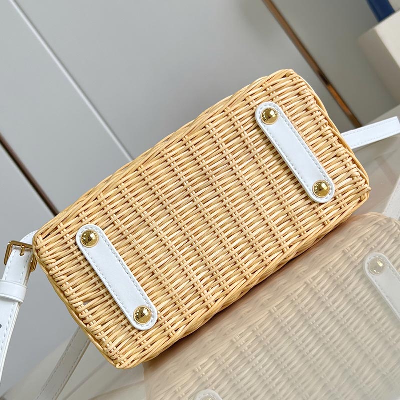 Louis Vuitton Capucines Picnic