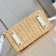Louis Vuitton Capucines Picnic