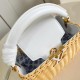 Louis Vuitton Capucines Picnic