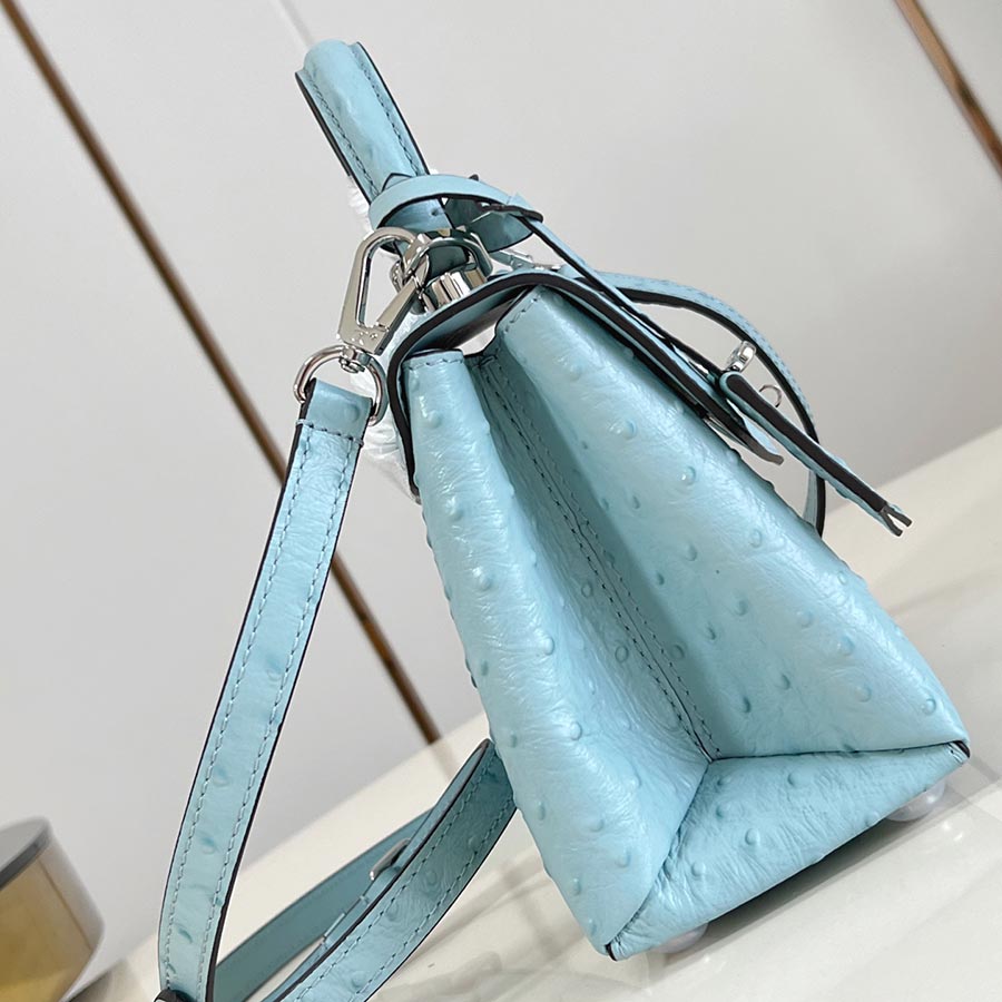 Louis Vuitton Rose des Vents