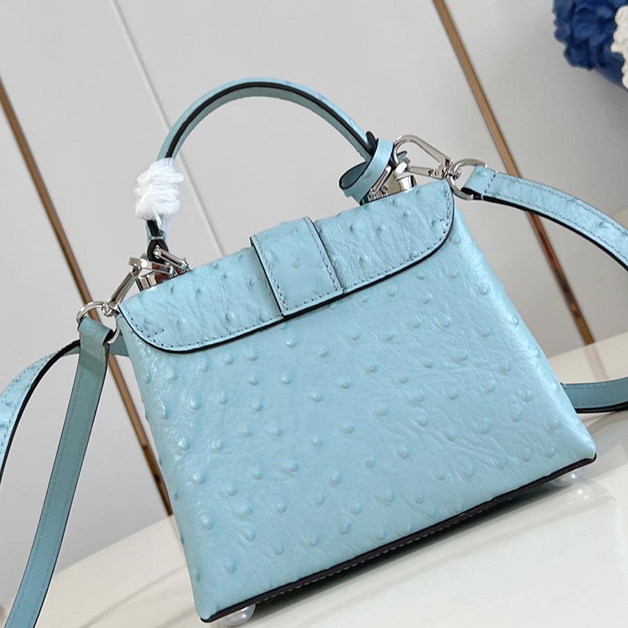 Louis Vuitton Rose des Vents