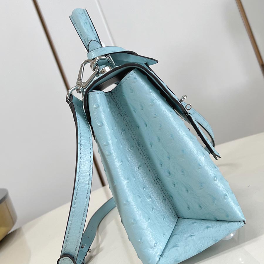 Louis Vuitton Rose des Vents
