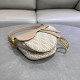 DIOR Oblique