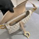 DIOR Oblique