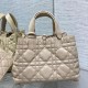 DIOR Toujours