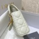 DIOR Lady micro